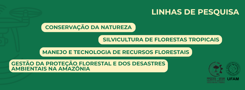 Linhas de Pesquisa
